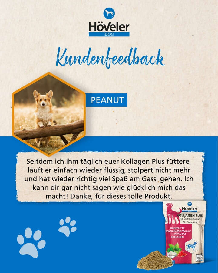 Hoeveler Dog Kundenstimme03 Aktion